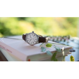 画像3: SEIKO[セイコー]　PRESAGE[プレザージュ]　SRRX001　Craftsmanship Serise 琺瑯ダイヤルモデル　レディースモデル　正規品