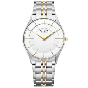 画像1: CITIZEN[ シチズン]CITIZEN コレクション  AR3014-56A　エコ・ドライブ（電波受信機能なし） 正規品