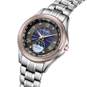 画像4: CITIZEN[シチズン]  EXCEED[エクシード] EE1016-66F 「いい夫婦の日」限定ペアモデル第三弾　  エコ・ドライブ電波時計 ダイレクトフライト  限定モデル350本    レディス　正規品