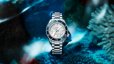 画像10: SEIKO[セイコー]  PROSPEX[プロスペックス]コアショップモデル　SBEJ029　Diver Scuba　ダイバーズ 1968 ヘリテージ GMT　メタルバンド  正規品 (10)