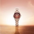 画像6: CITIZEN[シチズン]XC[クロスシー] EE1004-73W　daichi collection   エコ・ドライブ電波時計  ティタニアハッピーフライト  正規品