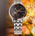 画像6: SEIKO[セイコー]　PRESAGE[プレザージュ] Japanese Garden　SARY262 　メカニカル 　メタルバンド　メンズモデル　正規品 (6)