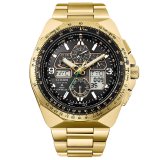 CITIZEN[シチズン]PROMASTER[プロマスター]SKYシリーズ　JY8144-50E　エコ・ドライブ 50周年限定モデル SKYHAWK  メンズモデル  正規品