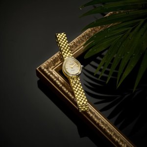 画像7: 10月８日発売予定　CITIZEN[シチズン] L [エル] RAINELL Collection EX1542-52A　世界限定2,200本    レディスモデル　正規品