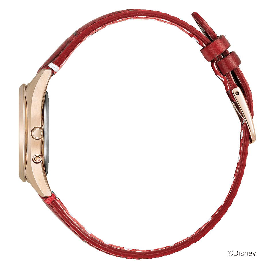 CITIZEN[シチズン] EXCEED[エクシード] ES9378-01X shop Disney 1周年