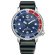 画像1: CITIZEN[シチズン]PROMASTER[プロマスター] MARINEシリーズ BN0250-07L  MARVEL（マーベル）スパイダーマン 限定モデル500本　光発電エコ・ドライブ ダイバー200m   メンズ　 正規品 (1)