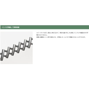 画像5: BAMBI[バンビ]　BAMBI　バンビメタル　Sバンド　BSS1239-G　正規品　「腕時計交換ベルト」 (5)