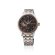 画像5: SEIKO[セイコー]　PRESAGE[プレザージュ] Japanese Garden　SARY262 　メカニカル 　メタルバンド　メンズモデル　正規品 (5)
