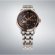 画像4: SEIKO[セイコー]　PRESAGE[プレザージュ] Japanese Garden　SARY262 　メカニカル 　メタルバンド　メンズモデル　正規品 (4)