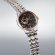 画像3: SEIKO[セイコー]　PRESAGE[プレザージュ] Japanese Garden　SARY262 　メカニカル 　メタルバンド　メンズモデル　正規品 (3)