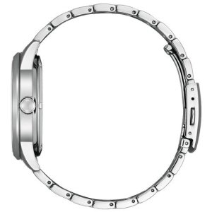 画像2: CITIZEN[シチズン]  CITIZEN コレクション　NY4050-71L　「金碧珠」 限定モデル2,000本 　メカニカル　メンズモデル　 正規品 (2)