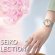 画像4: SEIKO[セイコー]　SEIKO SELECTION[セイコー セレクション]　SSDE024   2026 SAKURA Blooming Limited Edition　国内限定800本　レディスモデル 　メカニカル　   正規品 (4)